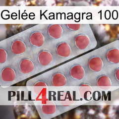 Gelée Kamagra 100 19